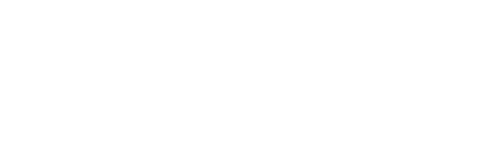 Neurabiz Logo white copy
